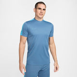 Camiseta NK Dri-FIT Academy Reliquia