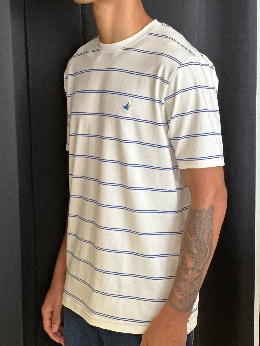 Camiseta Listrada Brooksfield