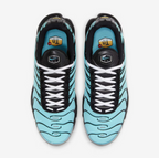Tênis NK Air Max Plus Aqua Silver